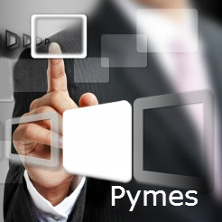 director pymes